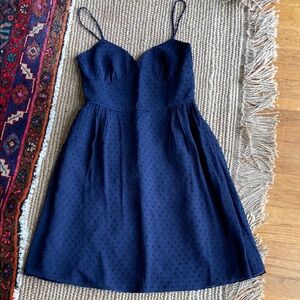 J Crew Navy Swiss Dot Dress